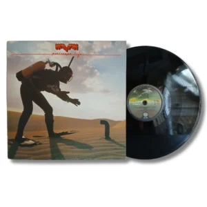 Kayak - Periscope Life