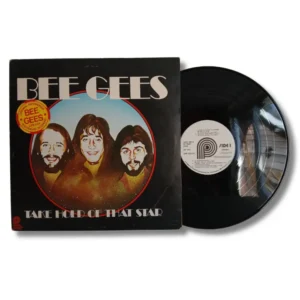 Bee Gees - Take Hold Of That Star